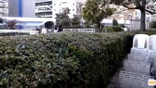 🈲🈲中文无码hd人妻
